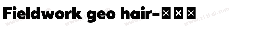 Fieldwork geo hair字体转换